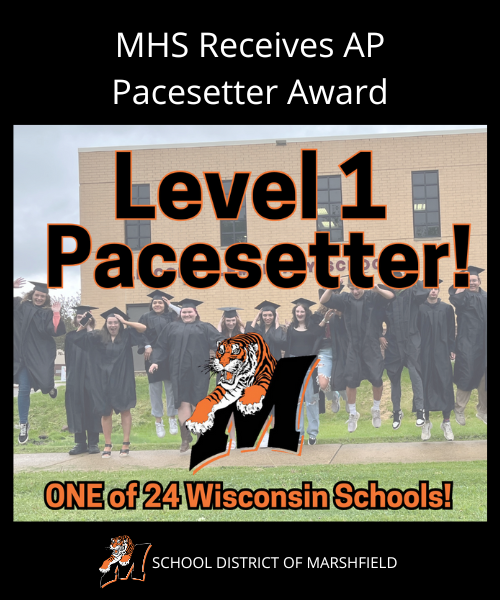  Level 1 AP Pacesetter Award